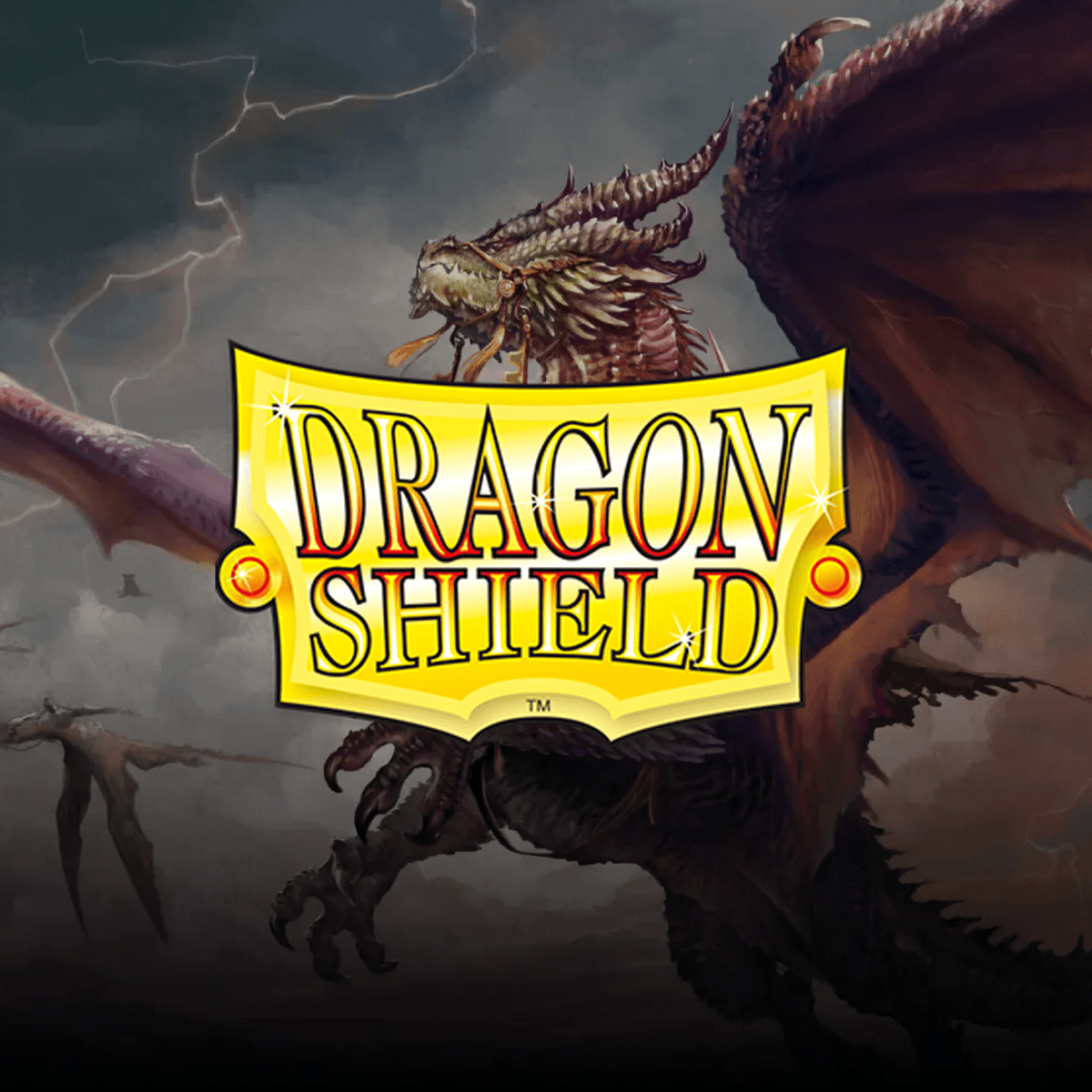 Accessori Dragon Shield per TCG da Otakura