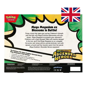 Megaevoluzione: Ascesa Eroica – Collezione Mega Meganium ex – Pokémon TCG (ENG) – vista 2